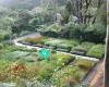 Kiwi Plants Ltd