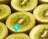 Kiwifruit Farmer New Zealand