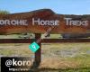 Korohe Horse Treks in Turangi Taupo district