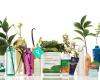 Kylie Hayes Arbonne Independent Consultant