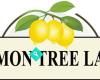 Lemon Tree Lane