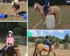 LEX Little Learners - Equestrian Rider Coaching