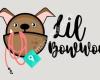 Lil Bow Wow Dog Walking Services