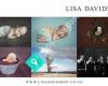 Lisa Davidson Photography