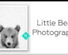 Little Bear Photography