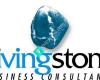 Livingstone Business Consultants Ltd