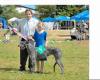 Lochbrowan Scottish Deerhounds