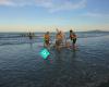 Mairangi Bay Scouts