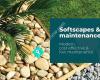 Mana Softscapes