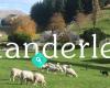 Manderley