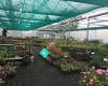 Marlborough Nursery