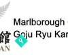 Marlborough Okinawan Goju Ryu Karate
