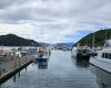 Marlborough Sounds Adventure Company - Hike, Bike & Kayak Tours
