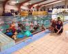 Massey University Swimming Club - MUSC