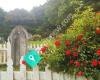 Matakana Cemetery