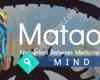 Mataora: Encounters Between Medicine and The Arts
