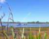 Matua Saltmarsh Reserve