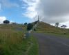 Maungakiekie / One Tree Hill