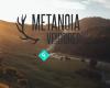 Metanoia Ventures