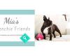 Mia's Frenchie Friends - a homestay & care service for French Bulldogs