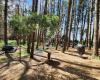 Middle Earth Adventure Park
