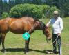 Mikes Horse Education / Farrier services