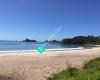 Mini Whananaki