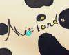 Miss Panda