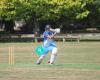 Morrinsville Business House Cricket