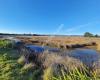 Motueka Inlet Walkway