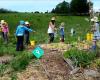 Motueka Steiner School and Farm