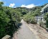 Muritai Park Track