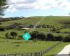 Muriwai Valley Country Stay