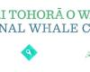 National Whale Centre - Te Tari Tohorā o Waitohi