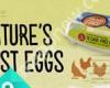 Natures Best Barn Fresh Eggs