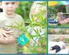 Natures Nest Early Learning Centre - Public