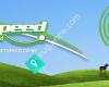 Netspeed