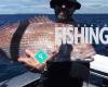 New Zealand Fishing World