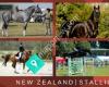 New Zealand Stallion Directory