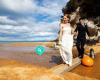 New Zealand Wedding Packages