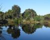 Nga Manu Nature Reserve