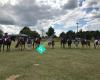 Ngaruawahia Pony Club