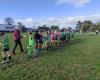 Ngaruawahia United AFC