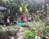 Ngataringa Organic Garden