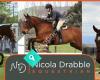 Nicola Drabble Equestrian