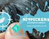Nitpickers: Lice Removal Services