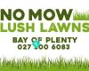 No Mow Lush Lawns