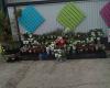 Oderings Garden Centre Palmerston North