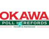 Okawa Poll Herefords