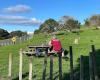 Omana Beach Road Playground